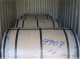 stainless-coil 