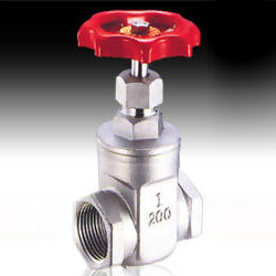 stainless steel aisi 316 gate valve. 