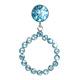 Stainless Steel Earrings image