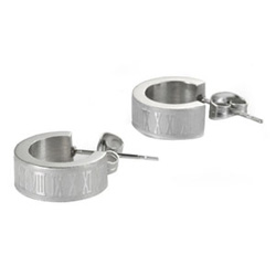 stainless steel earrings 