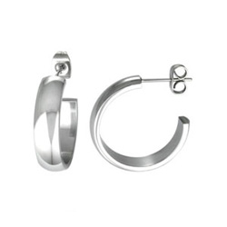 stainless steel earrings
