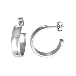 stainless steel earrings 