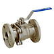 Stainless Steel Flanged Ball Valves