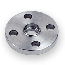 stainless steel flanges