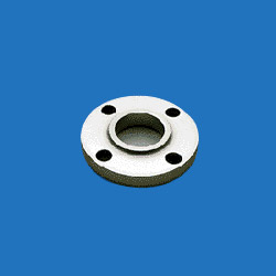 stainless steel forged flange 