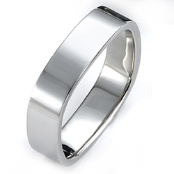 stainless steel rings