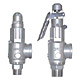 Stainless Steel Safety Valves