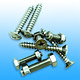 Stainless Steel Screws
