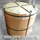 Stainless Steel Strips