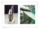 Stainless Steel Strip