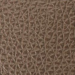 standard sponge leather