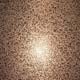 Architectural Stainless Steels image