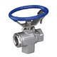 Steam Trap Ball Valves