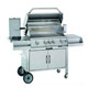 steel hooded gas bbq grills 