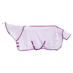 summer sheet 