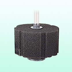 super leader sponge filter 