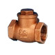 swing check valve 