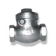 Threaded End Swing Check Valves