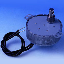 synchronous motor 