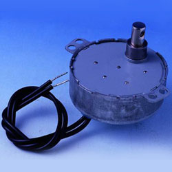 synchronous motor