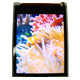 TFT LCD Modules