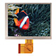 LCD Modules image