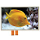 LCD Modules image