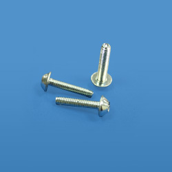 thread forming screw 