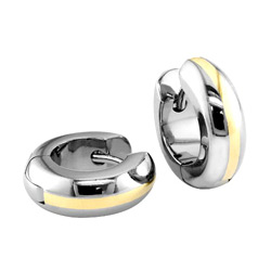 titanium earrings 
