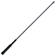 Radio Antennas image