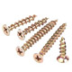 Construction Screws image