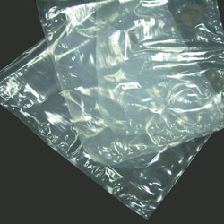 vacuum sealer bag