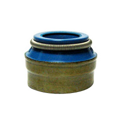 valve stem seals 