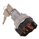 Vehicle Ignition Switches