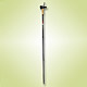 Walking Poles image