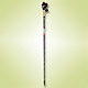 Walking Poles image