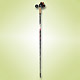 Walking Poles image