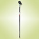Walking Poles image