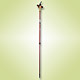Walking Poles image