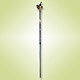 Walking Poles image
