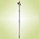 Walking Poles image