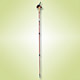 Walking Poles image
