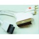 Wii Plugs To Scart  + 2 RCA / M + 1 RCA / F
