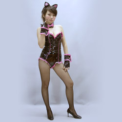wild sexy cat costumes