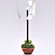 wind turbine 