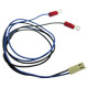 Wire Harnesses