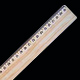Wooden Rulers ( Measure Rulers)